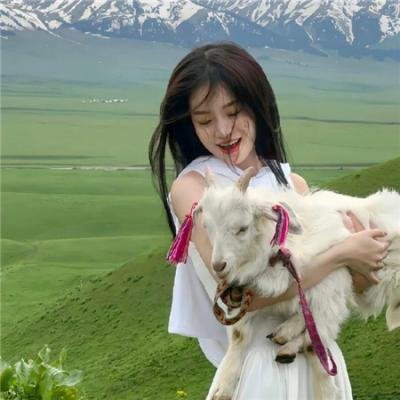 猎狐行动