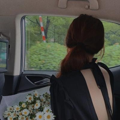 左轮百合